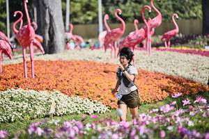 BIB: 
                            <button type="button" onclick="openModal(27793223)" class="btn btn-primary btn-sm float-right btn-popup" data-toggle="modal" data-target=".modal-high-quality">
                        <i class="fas fa-shopping-cart"></i> Add to Cart
                    </button>
                                            <button type="button" onclick="isThisMe(27793223, true)" class="btn btn-success btn-sm float-right btn-popup btn-isme hidden" data-toggle="tooltip" data-placement="bottom" title="นี่คือรูปของคุณใช่ไหม คลิกที่นี่เพื่อเอาเข้าอัลบั้ม">
                        <i class="fas fa-plus"></i> Add to album
                    </button>
                    <button type="button" onclick="isThisMe(27793223, false)" class="btn btn-warning btn-sm float-right btn-popup btn-isnotme hidden">
                        <i class="fas fa-ban"></i> Remove from album
                    </button>